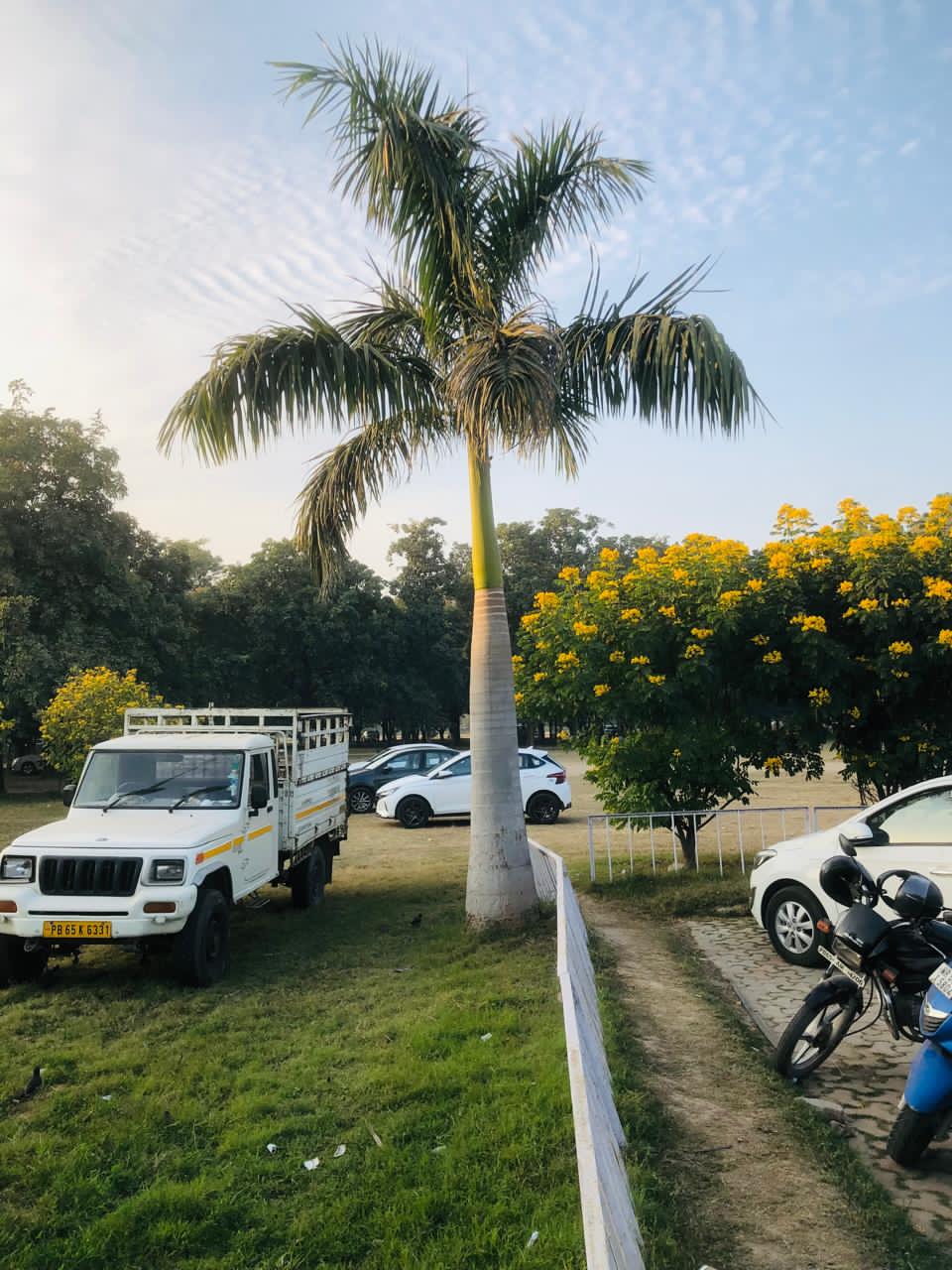 Panjab University Chandigarh Campus photo 8
